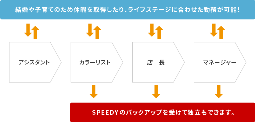 Celestの3つのキャリアプラン