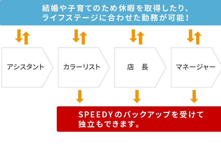 Celestの3つのキャリアプラン